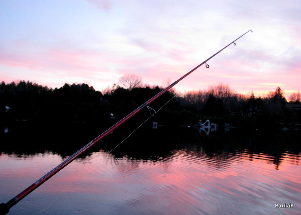Lots of fishing at sunset. 