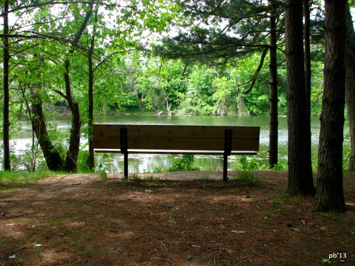 Bench by a pond
