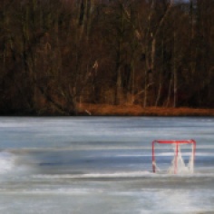 A NET ON THE ICE