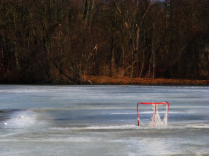 A NET ON THE ICE