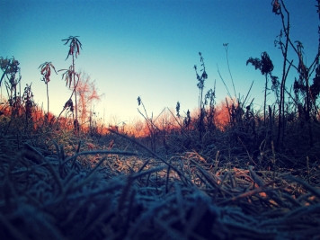 frost_5