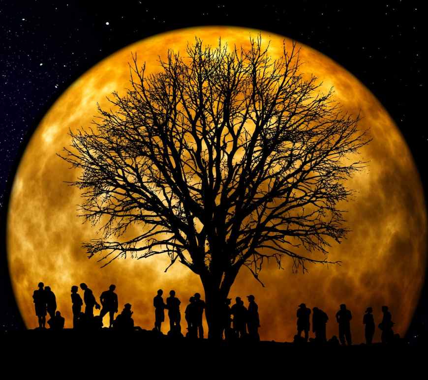 silhouette of people standing neat tree under the moon
