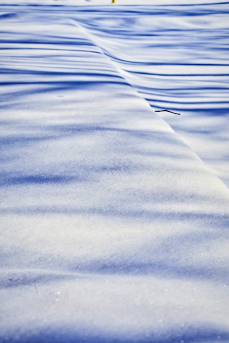lines in the snow - winter landscape - thetemenosjournal.com