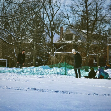 skating and sled on the green
