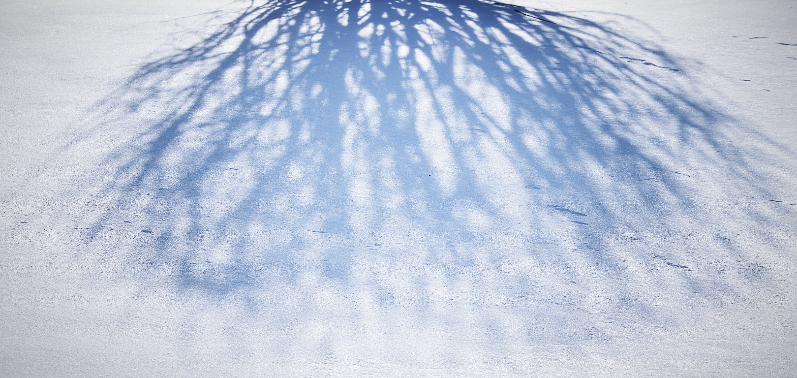 shadow on icy snow - thetemenosjournal.com