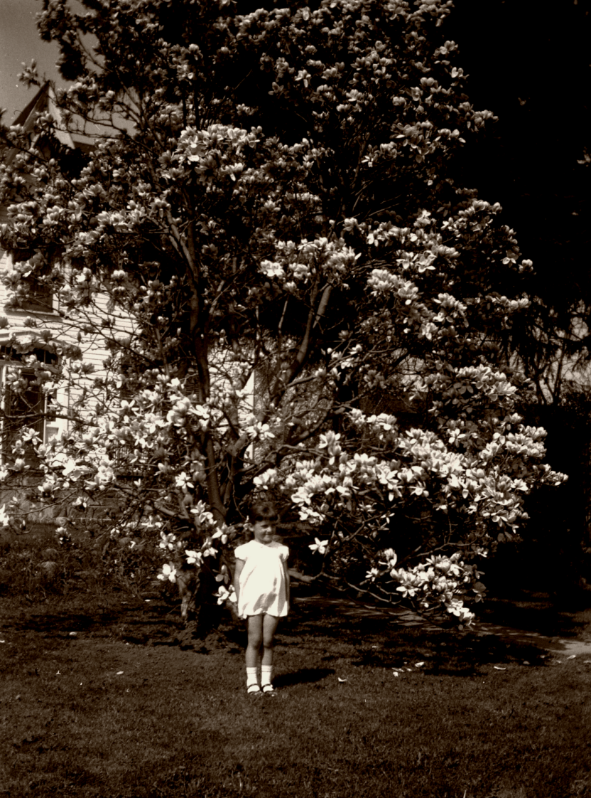 young girl in front of saucer Magnolia Tree