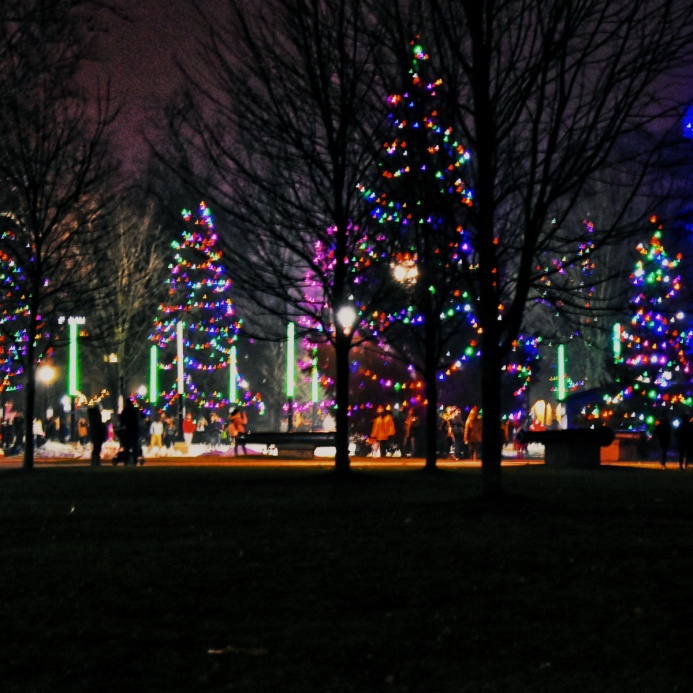 Chrstmas Lights at Victoria Park