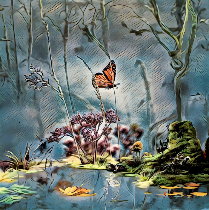 Butterfly Ballet over a pond with Swamp Milkweed